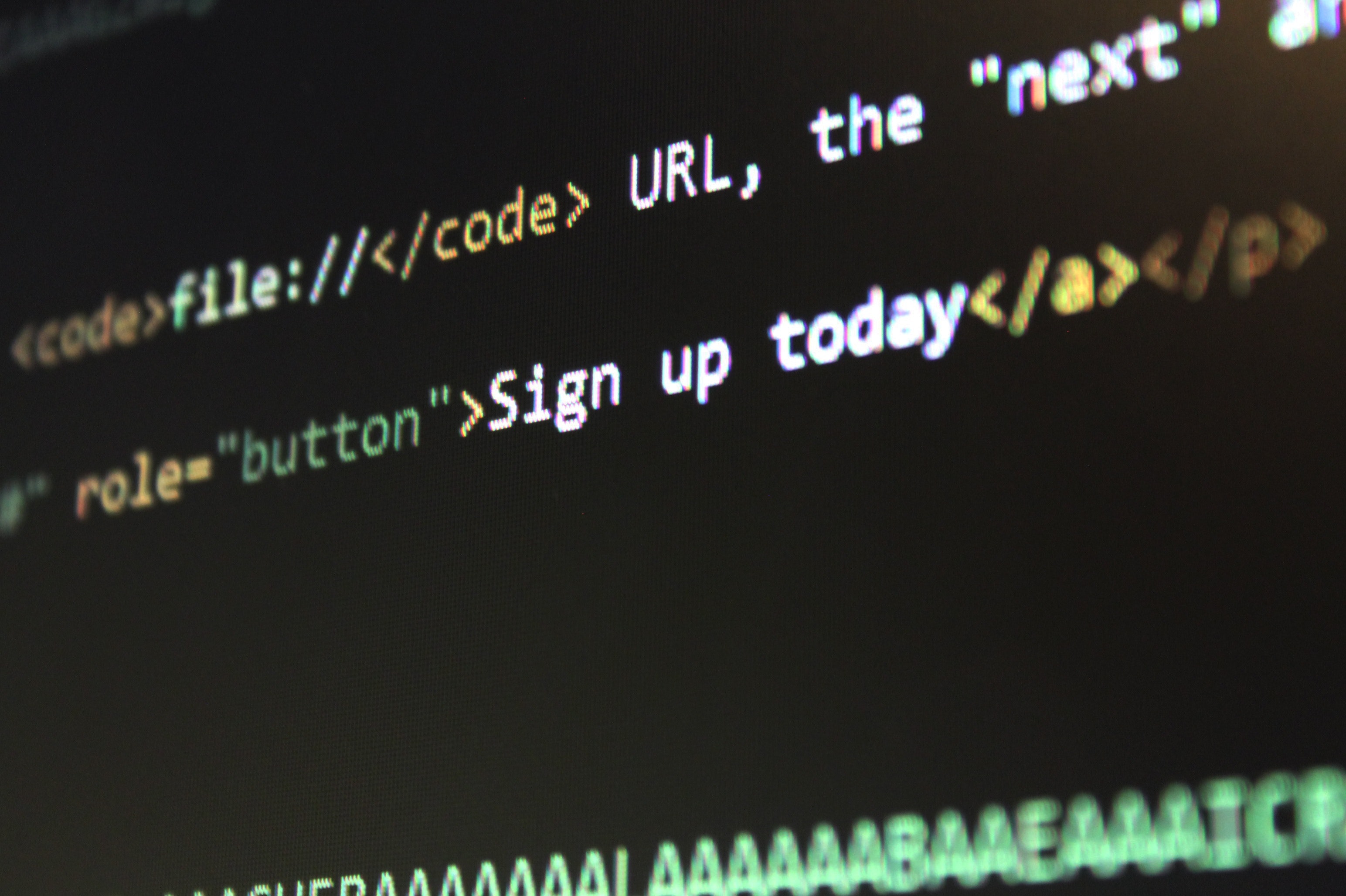 Web Design
